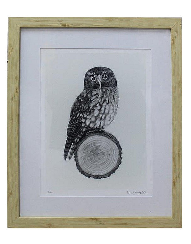 Tara Cassidy - Framed Print - Ruru