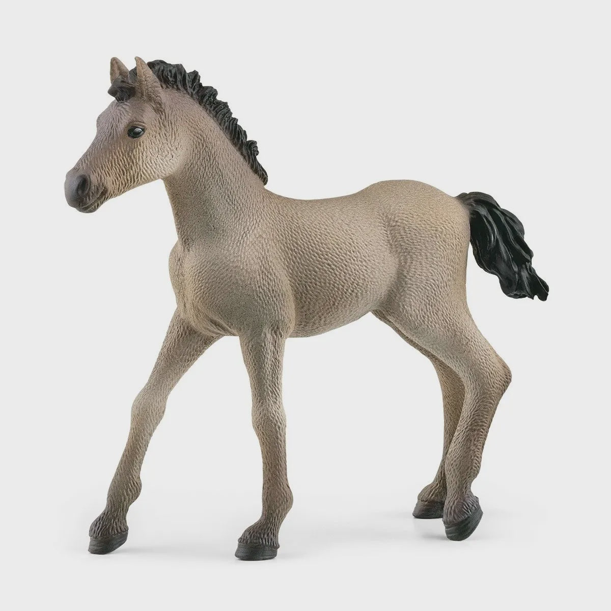 Schleich - Criollo Definitivo Foal