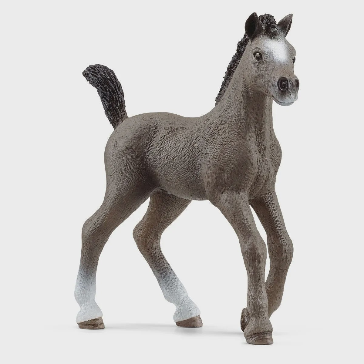 Schleich - Selle Francais Foal