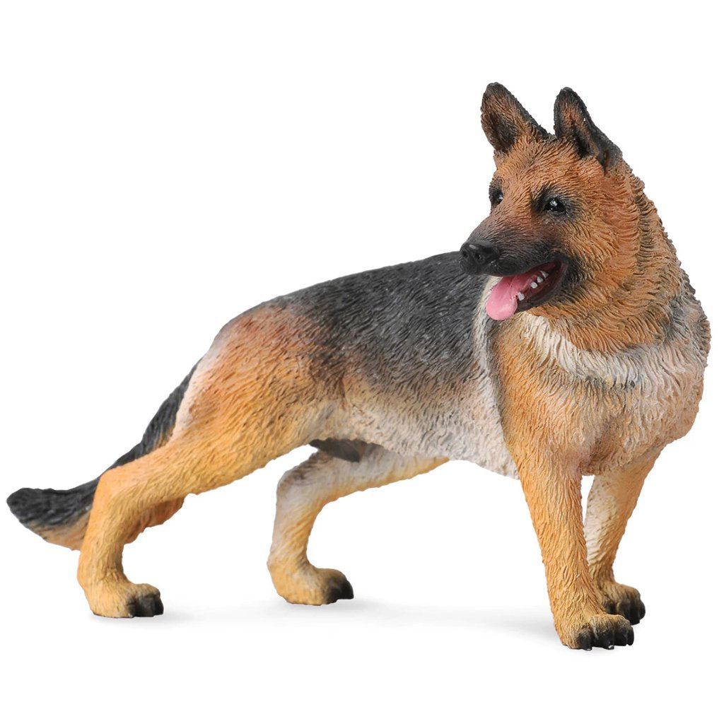 Collect A - German Shepherd