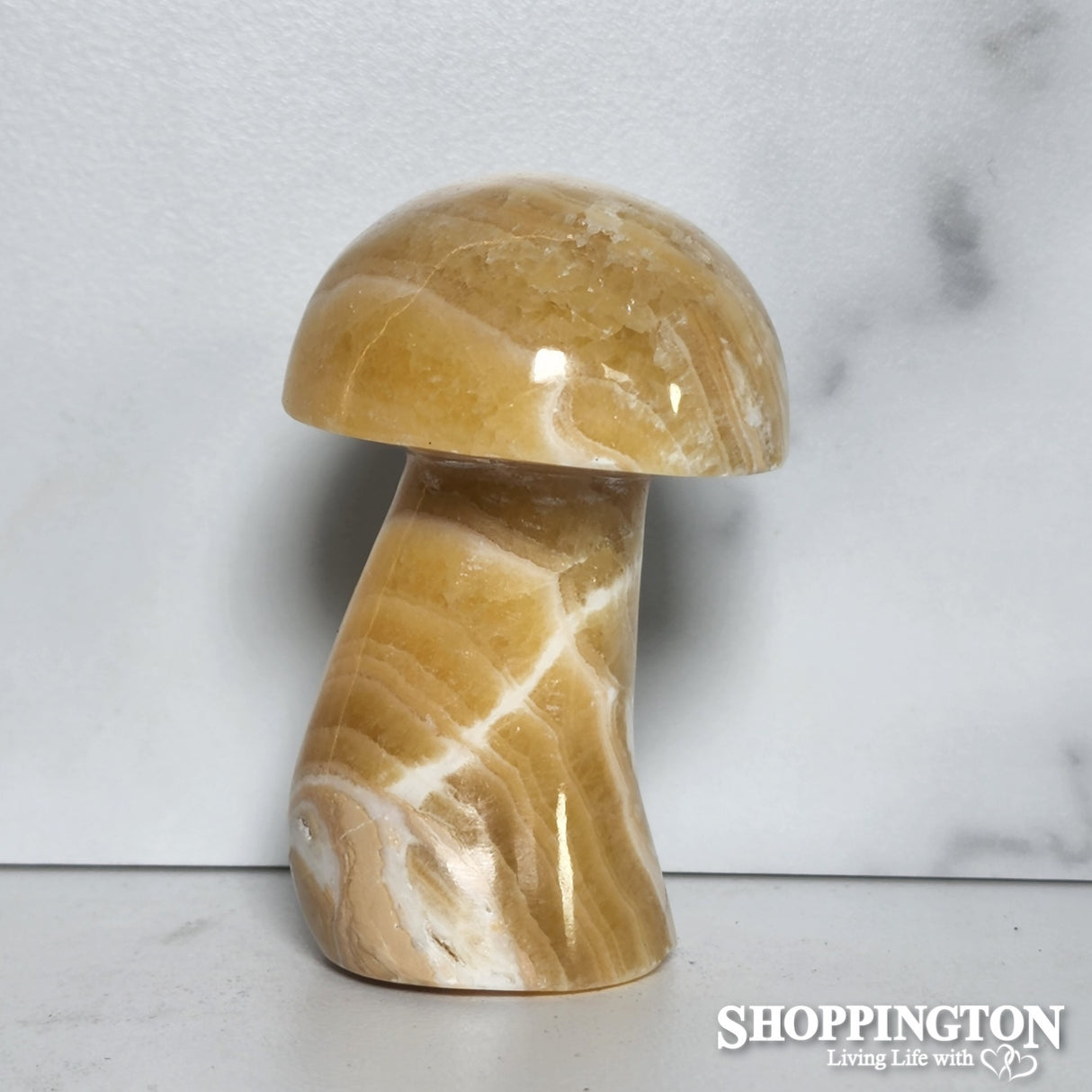 Peach Stone Mushroom #3