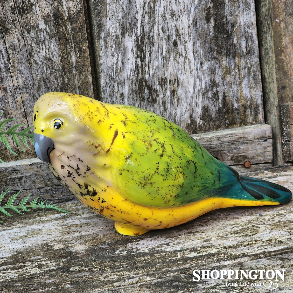 NZ Made Garden Ornament - Splashy Bird Art / Kea