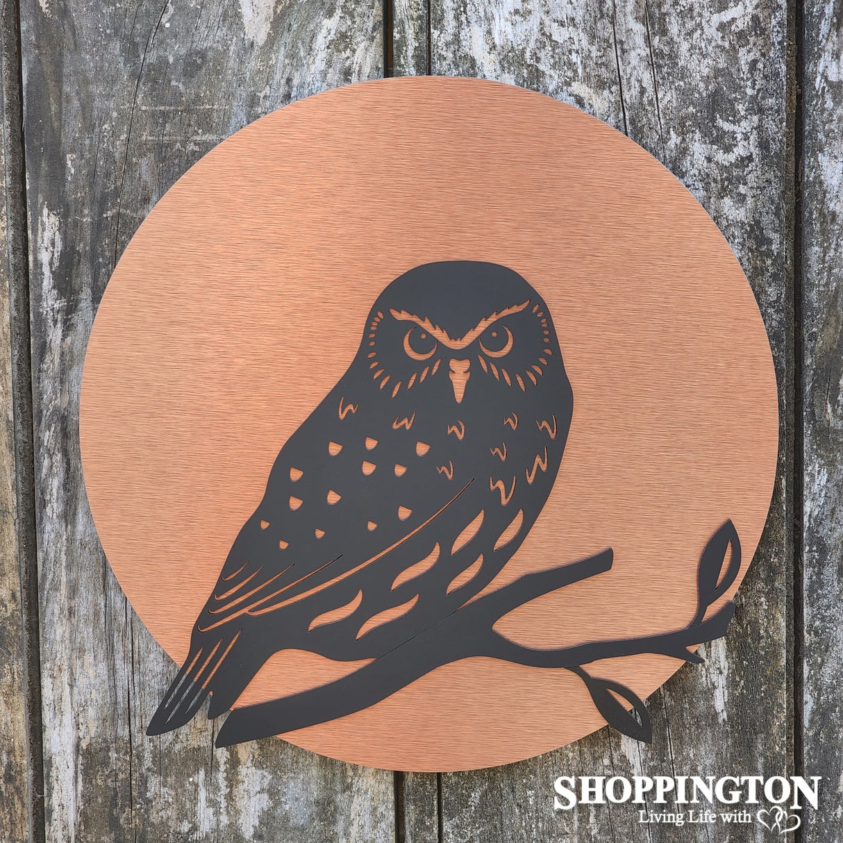 NZ Made Brushed Copper Circle - Ruru Wall Art