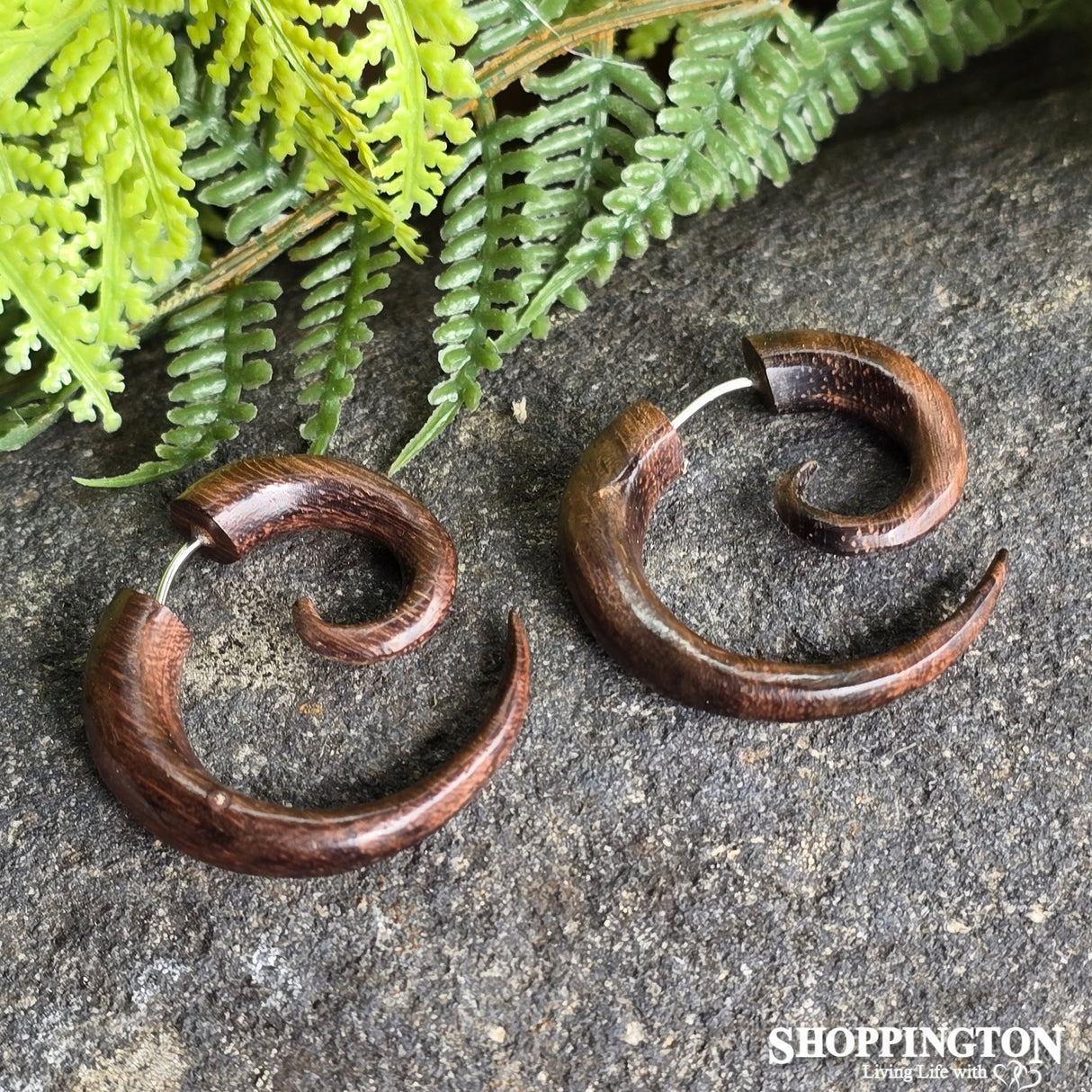 Big Koru Horn Wood Earrings