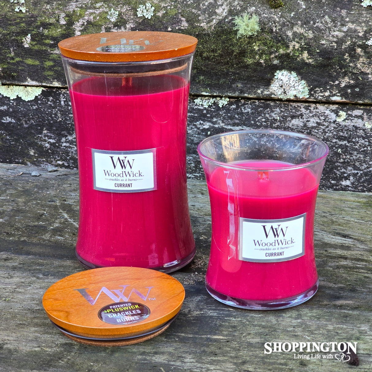 WoodWick Currant Medium