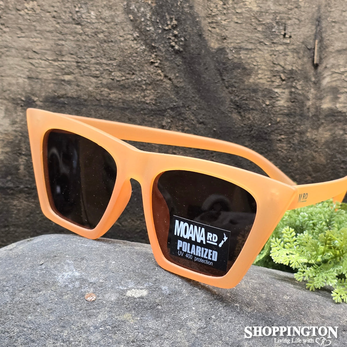 Moana Road Sunglasses - Shelly Winters