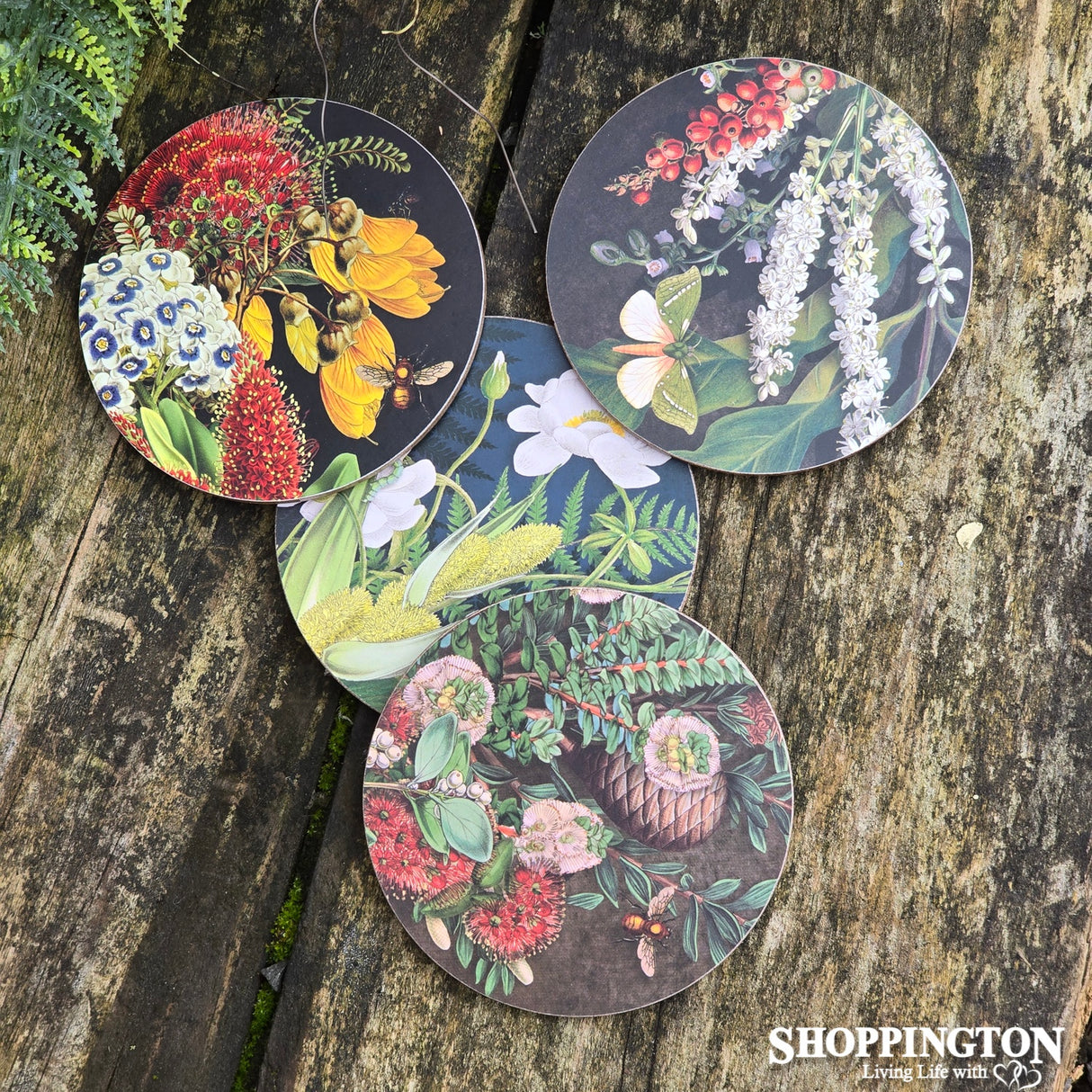 NZ Flora, Fauna & Birds Coasters