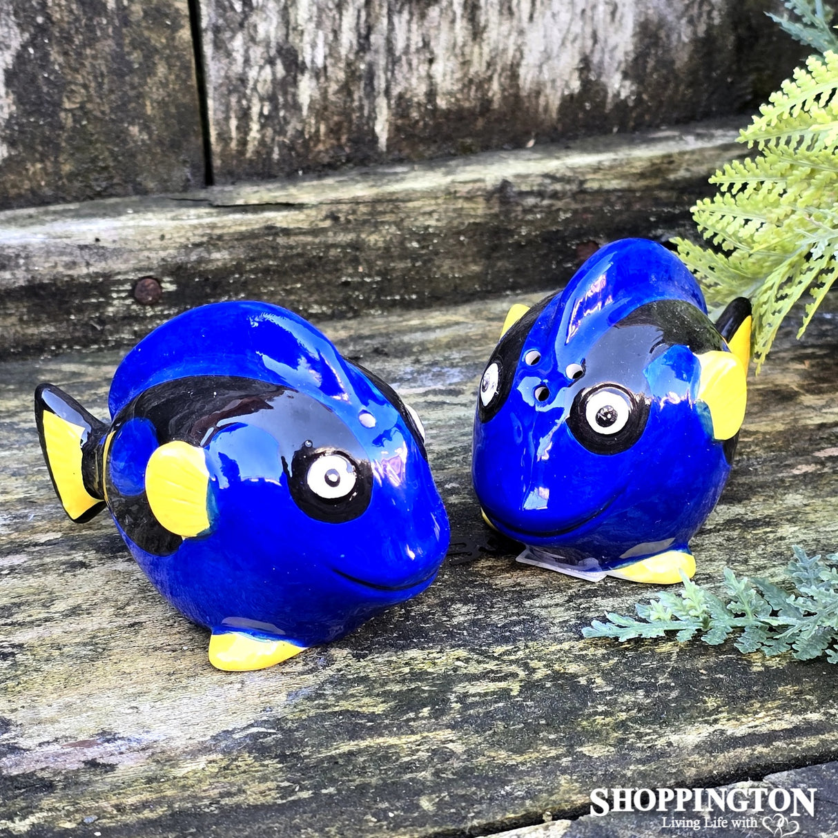 Salt & Pepper - Blue Tang Fish