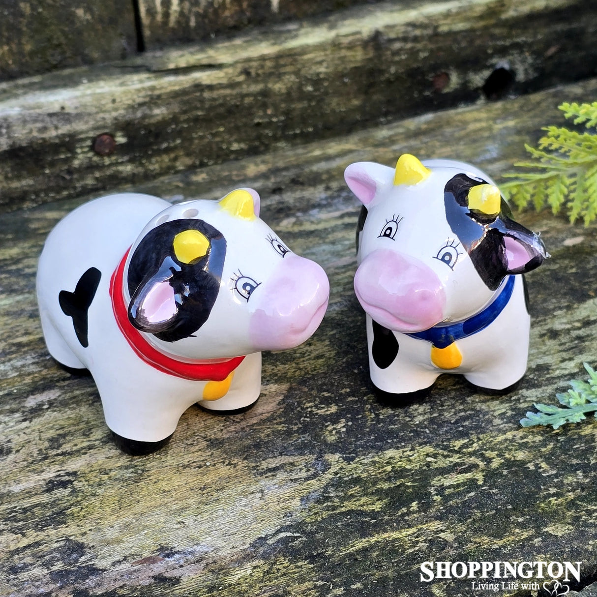 Salt & Pepper - Cow