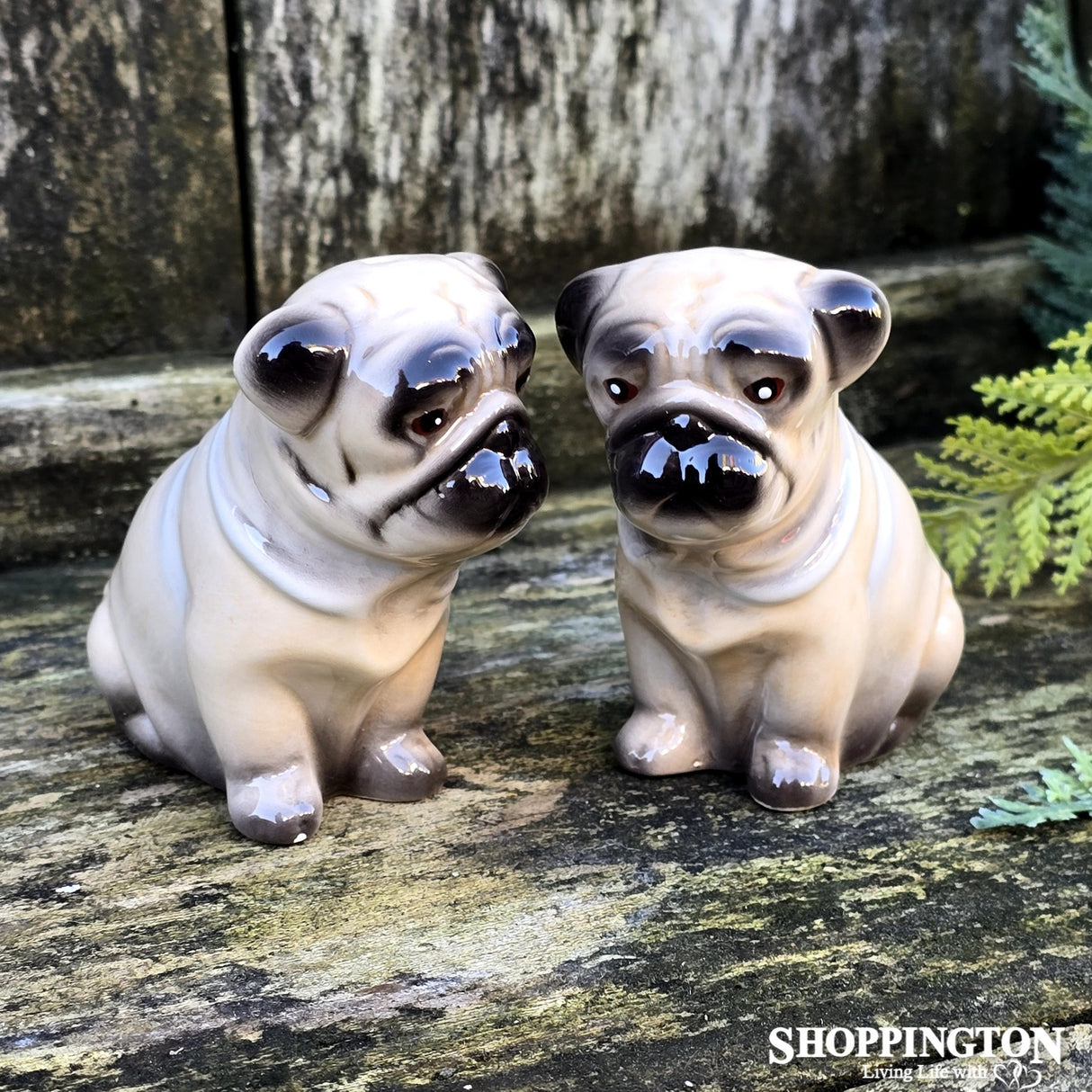 Salt & Pepper - Pug Dogs