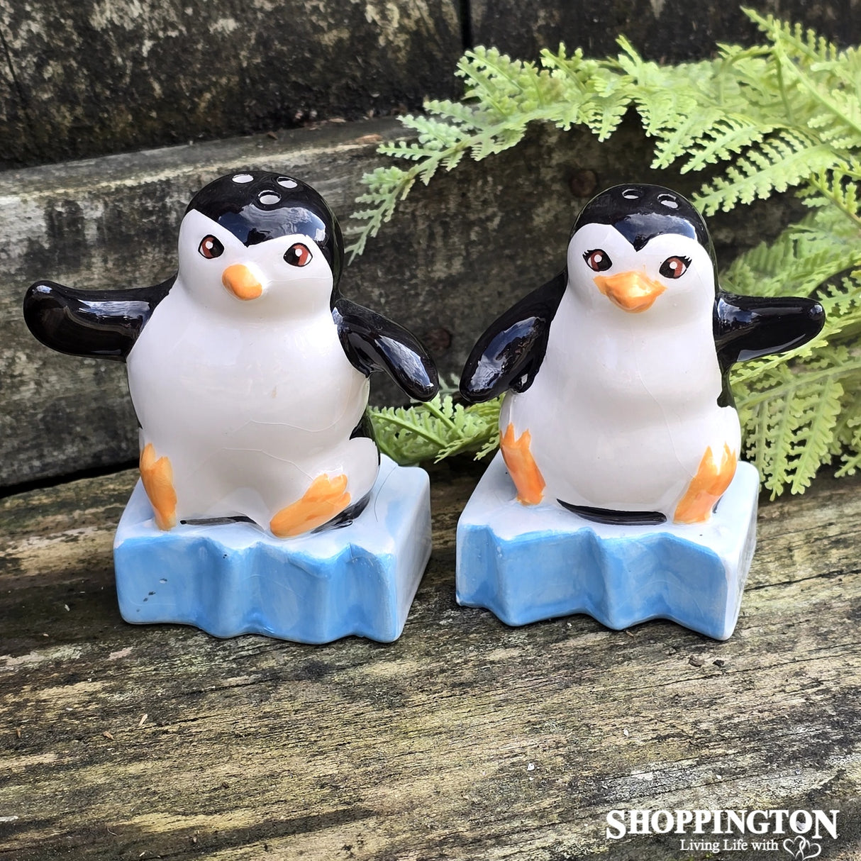 Salt & Pepper - Penguin Island