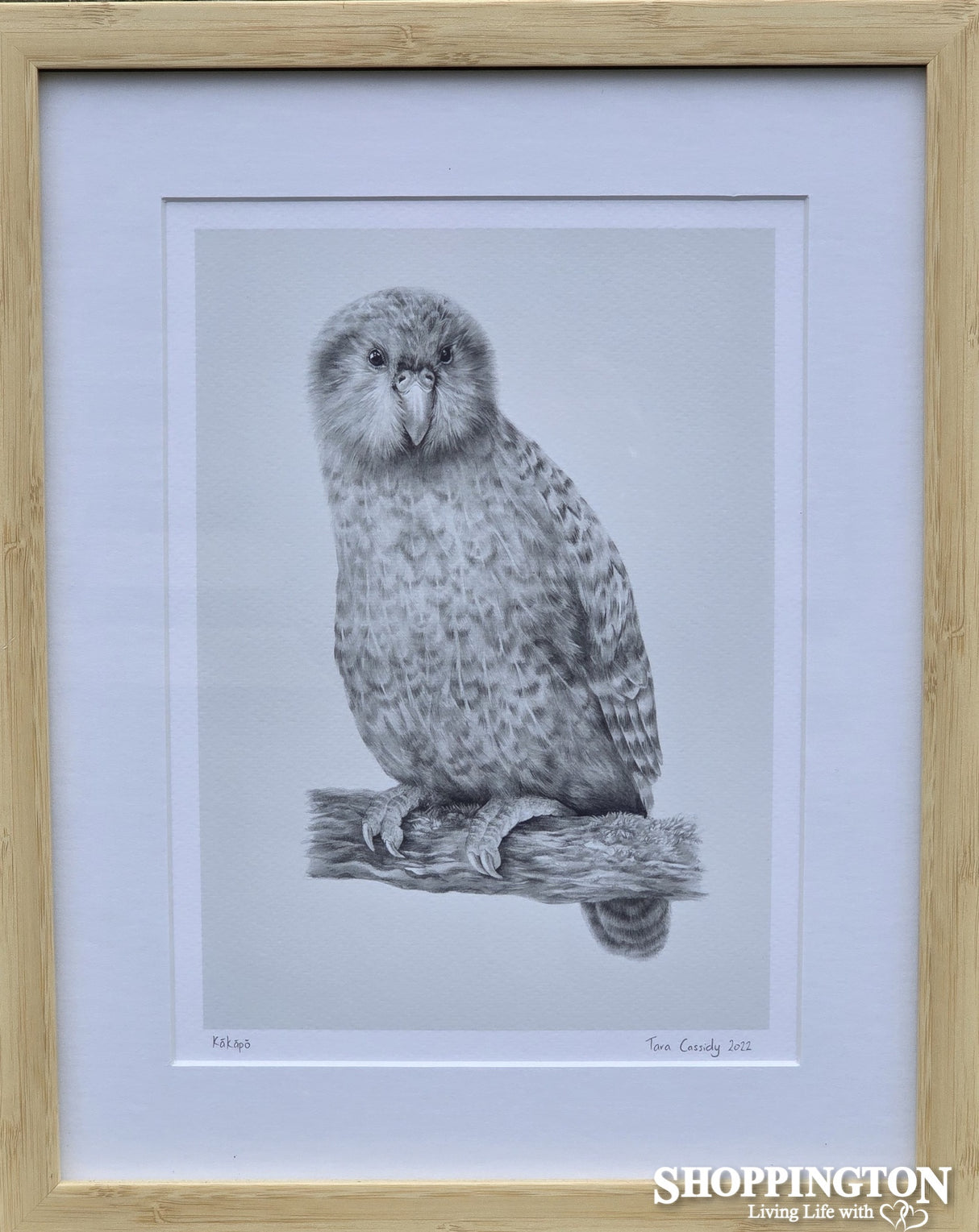 Tara Cassidy - Framed Print - Kakapo