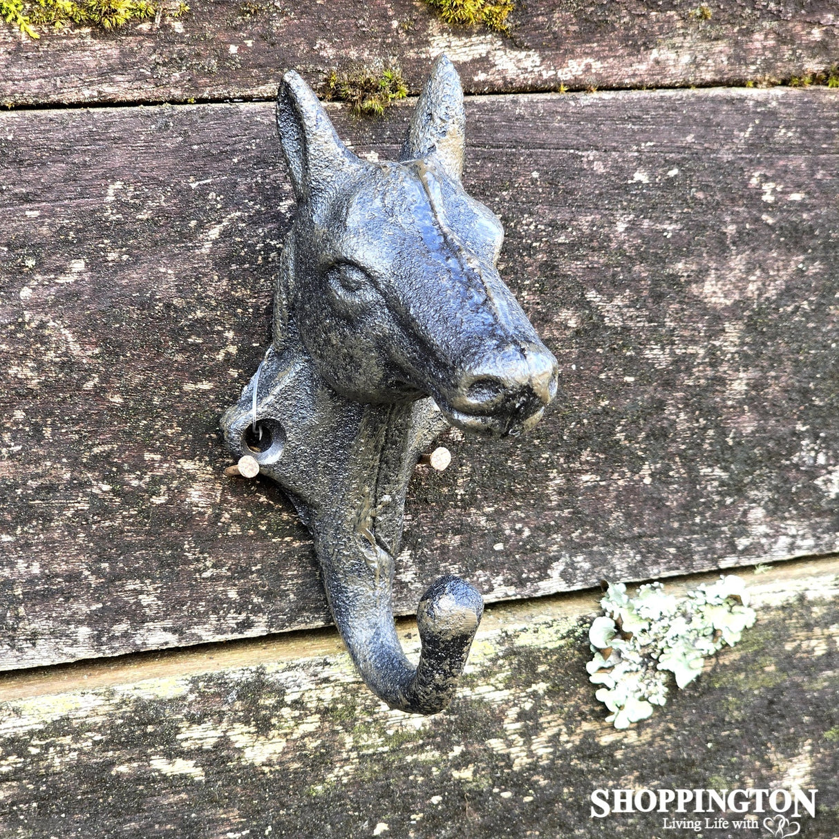 Cast Iron Horse Head Single Hook