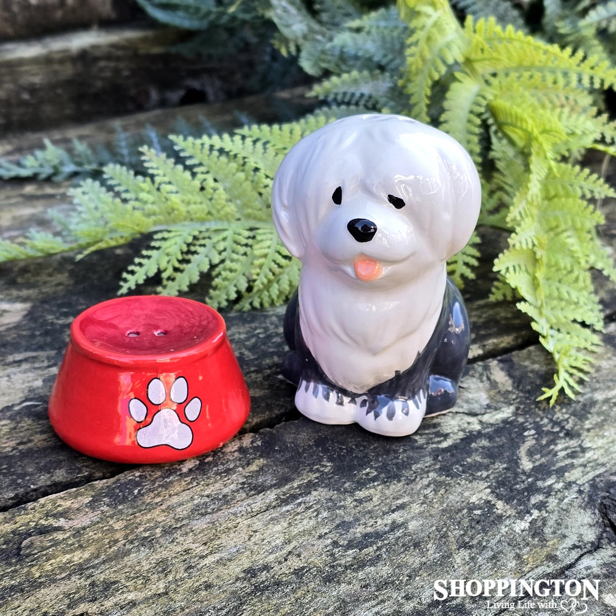 Salt & Pepper - Sheepdog