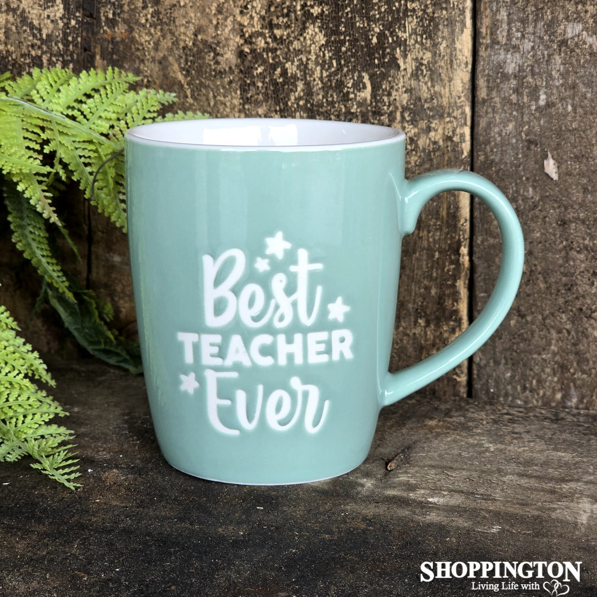 Mug - Best Teacher Ever
