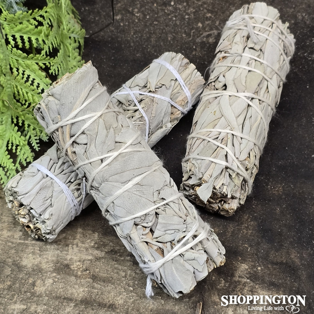 Smudge Stick - California White Sage 4inch