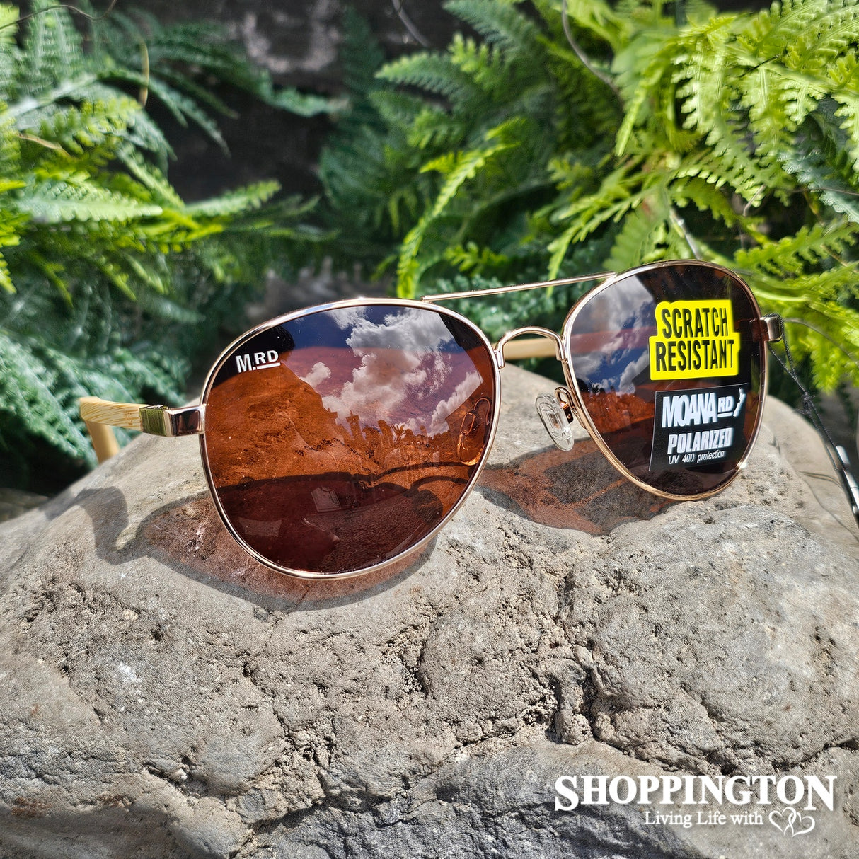 Moana Road Sunglasses - Aviator Maverick