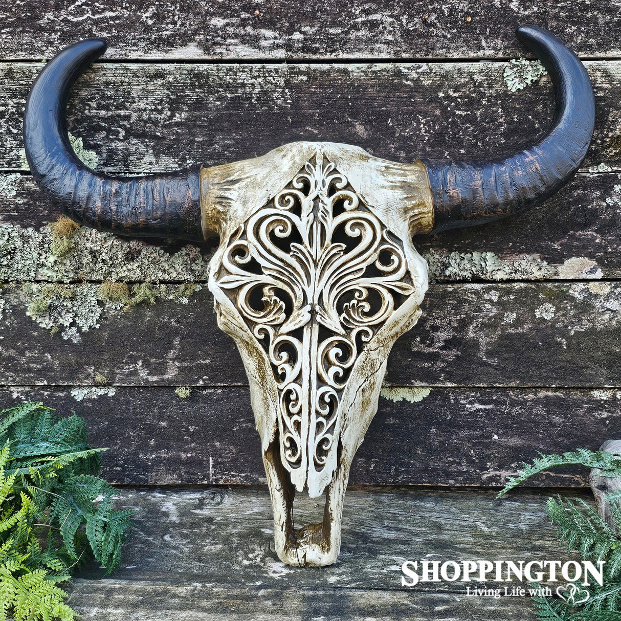Carved Bulls Skull