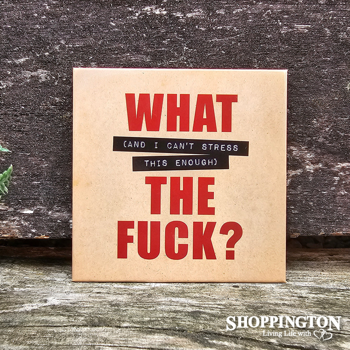 Defamations Magnet - What (can`t stress..)