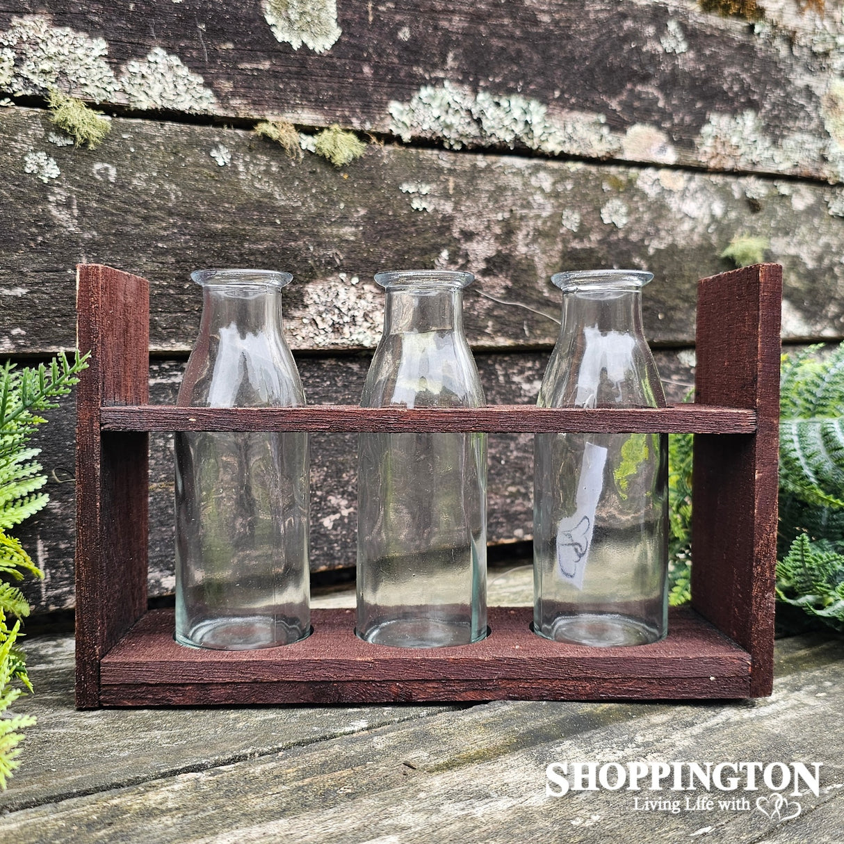 Mini Bottle Vases & Holder