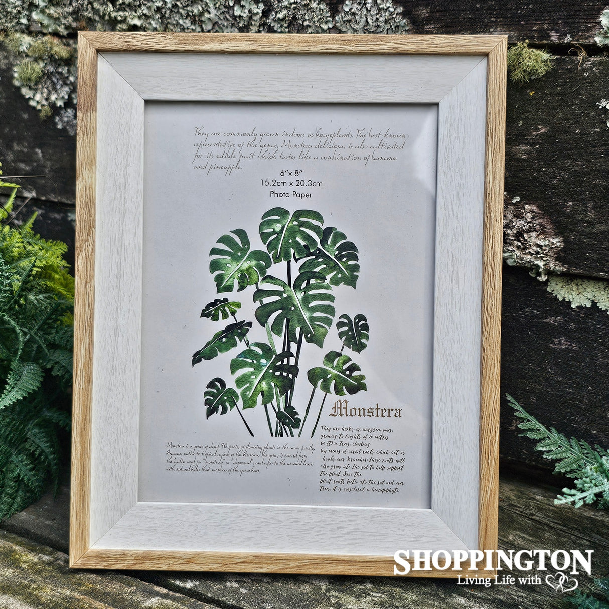 Photo Frame - Trudy Two Tone (sml)
