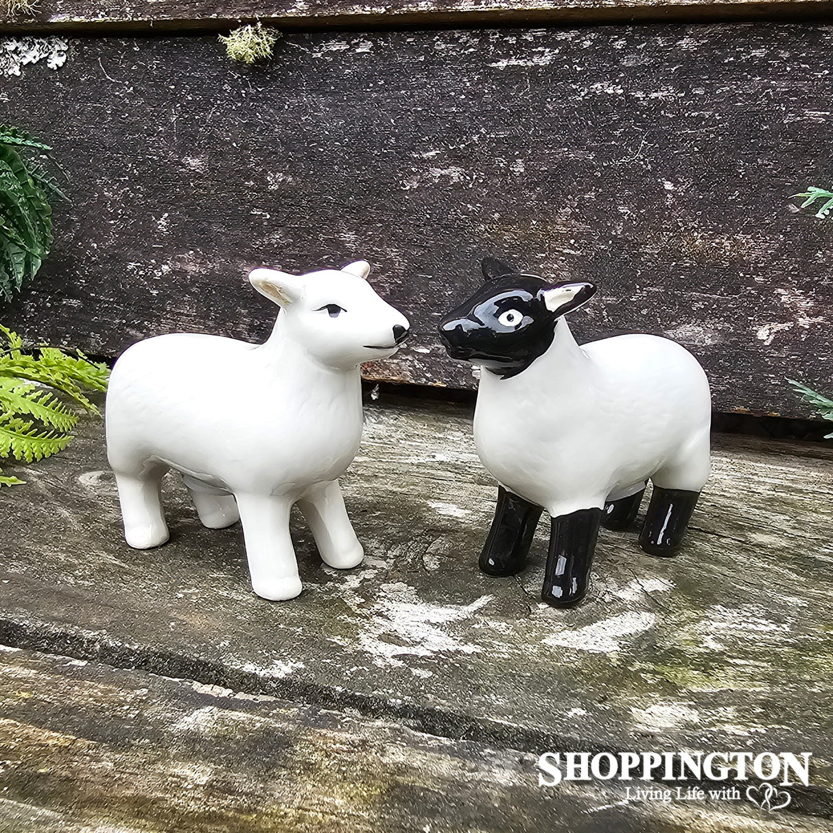 Salt & Pepper - Sheep