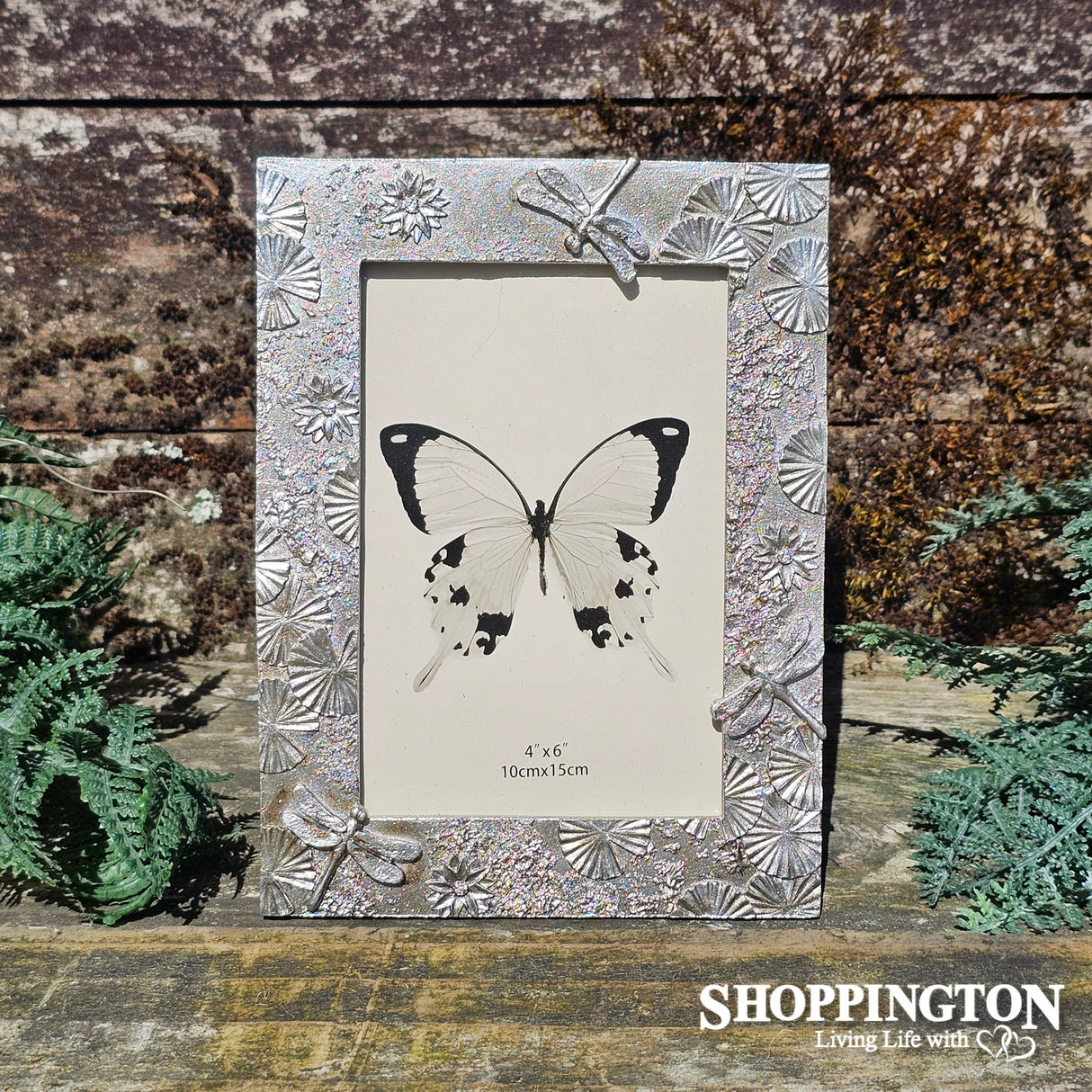 Dragonfly Photo Frame - Champagne (4x6)