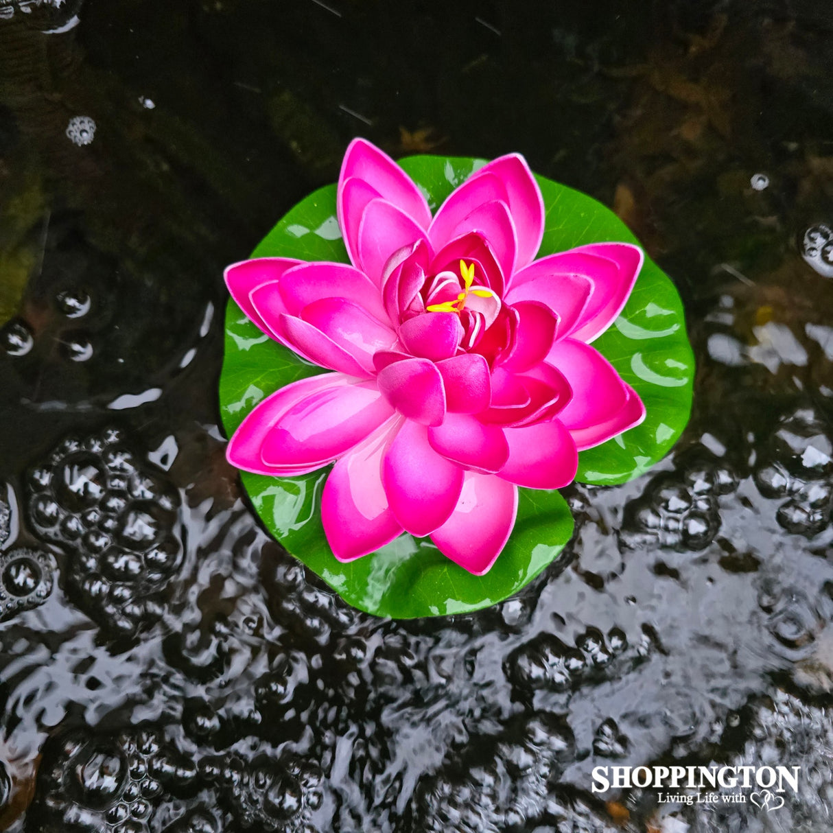 Floating Water Lily - Pink
