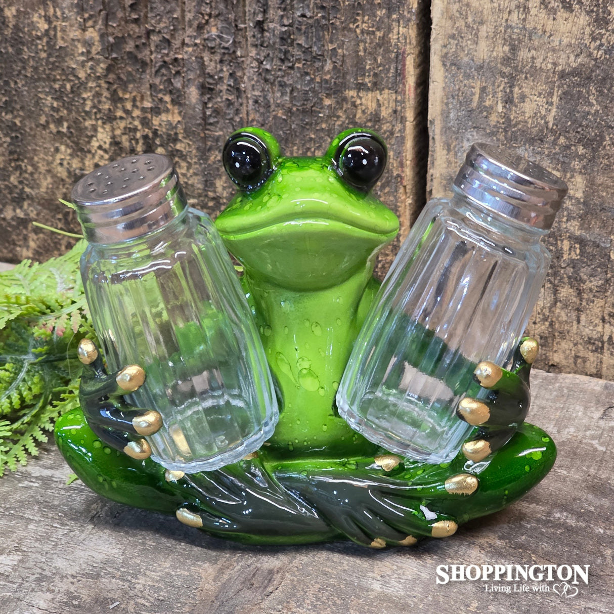 Salt & Pepper Shaker Set - Frog