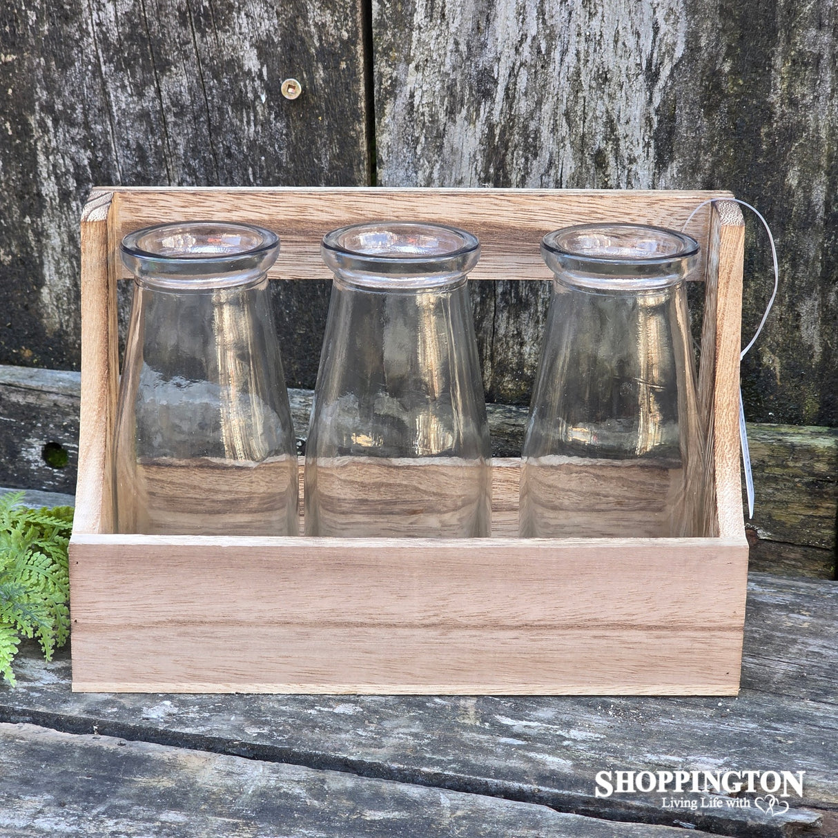 Wooden Holder & 3 Bottle Bud or Propagation Vase