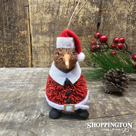 Santa Kiwi
