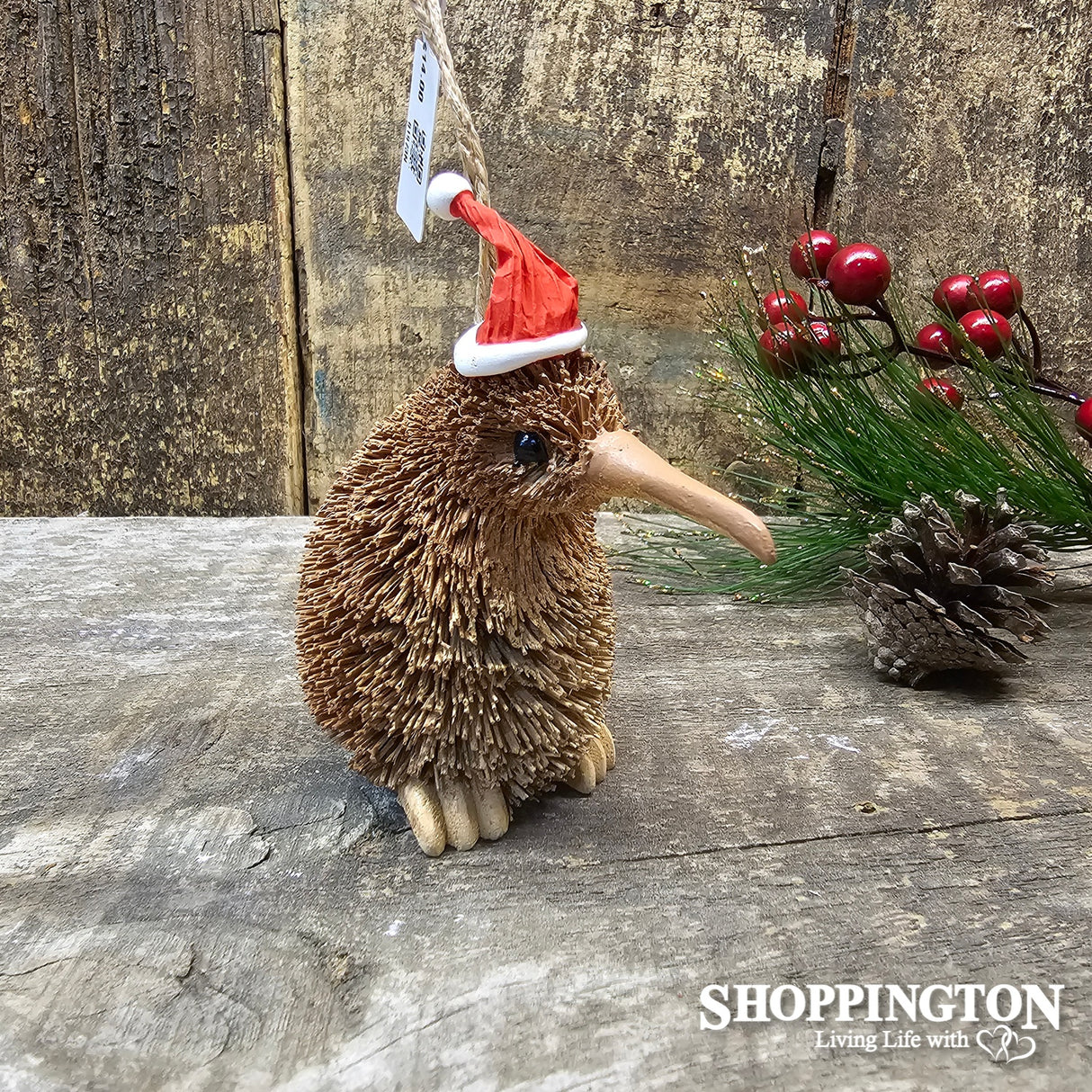 Santa Hat Kiwi Deco