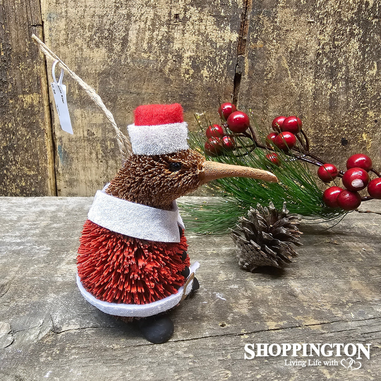Santa Kiwi