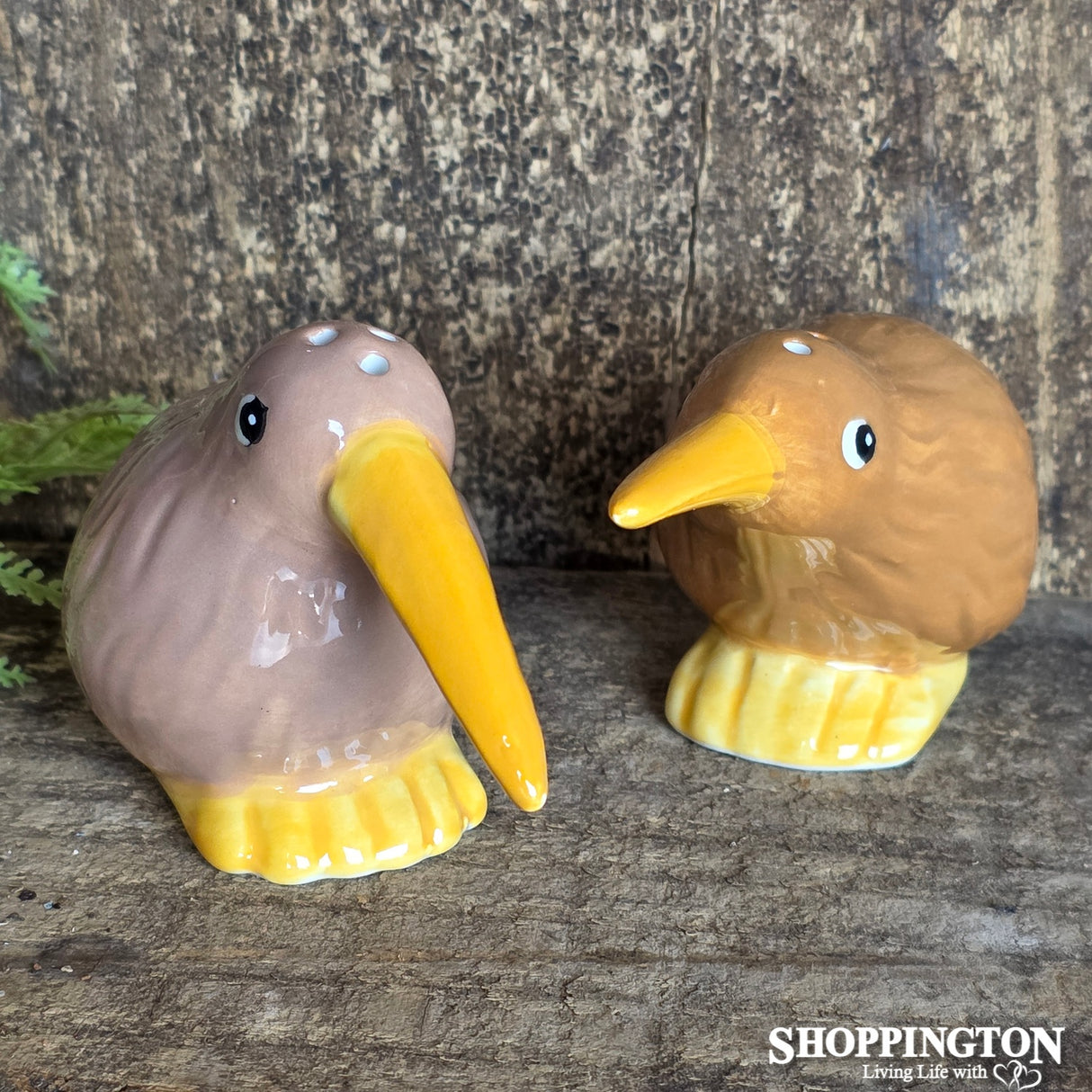 Kitschy Kiwi Salt & Pepper Shakers