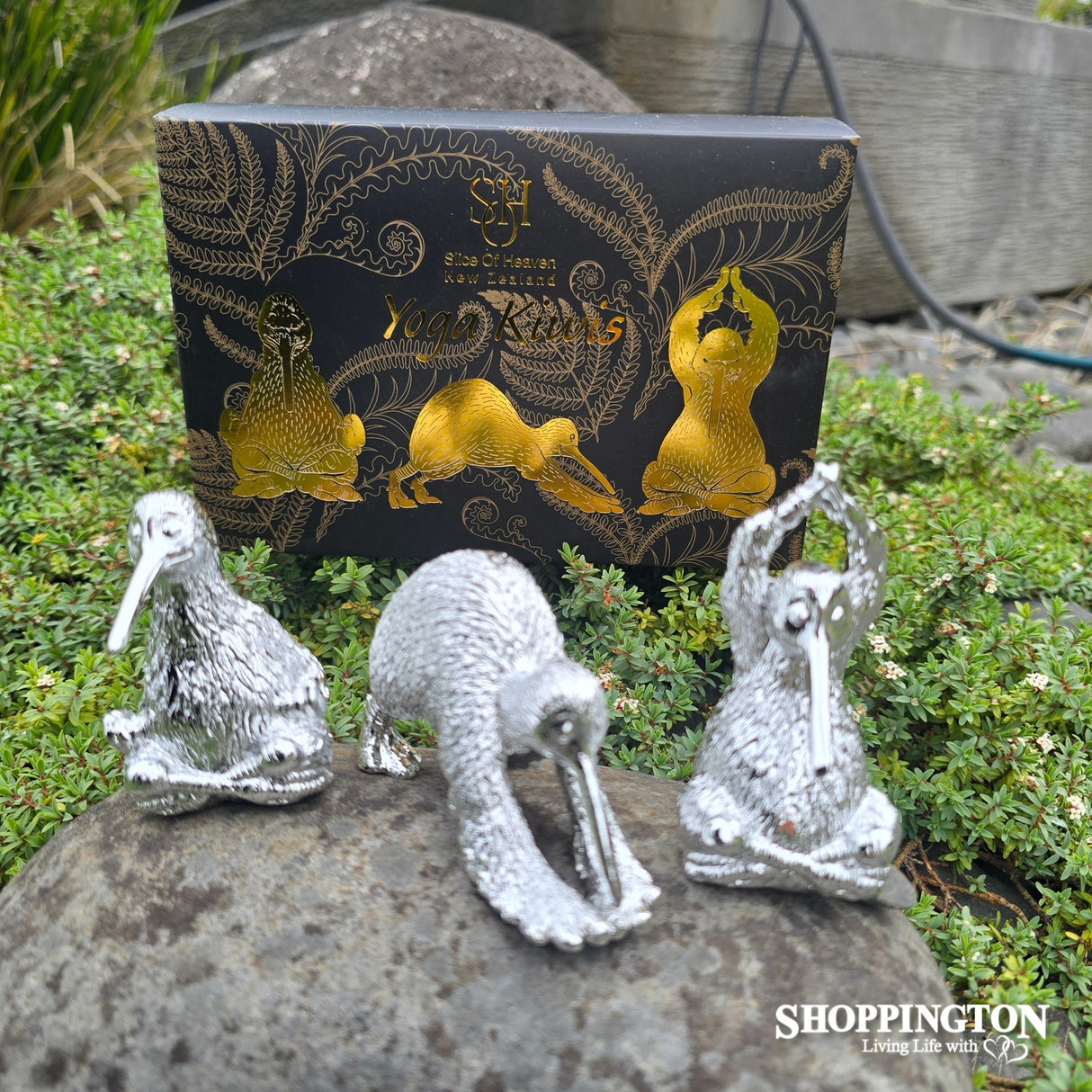 Set of 3 Yoga Silver Kiwi - Gift Boxed