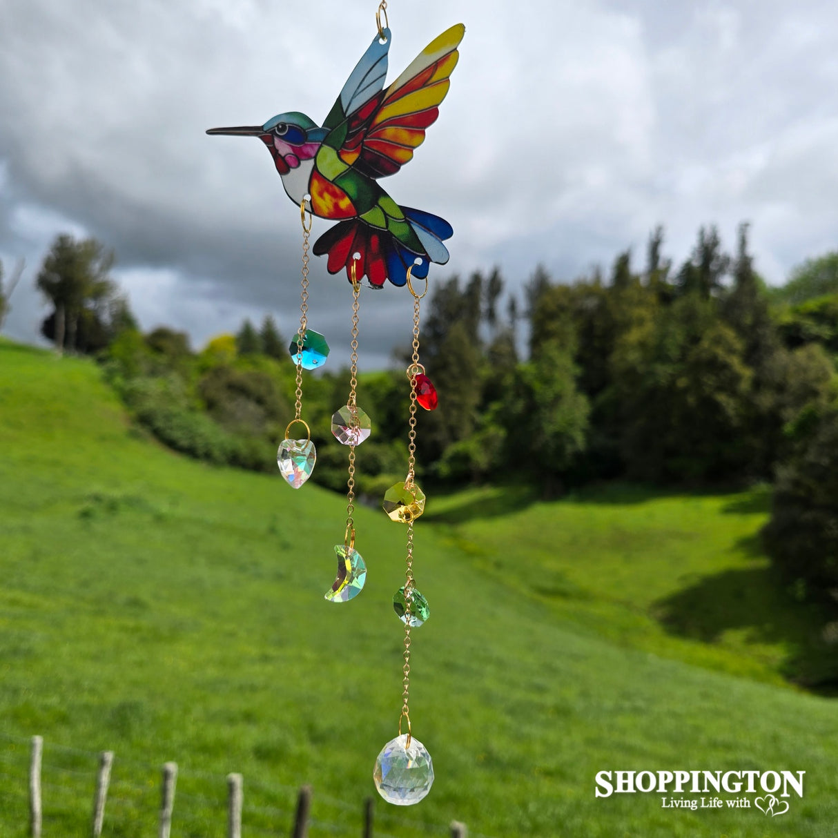 Crystal Spinner - Hummingbird