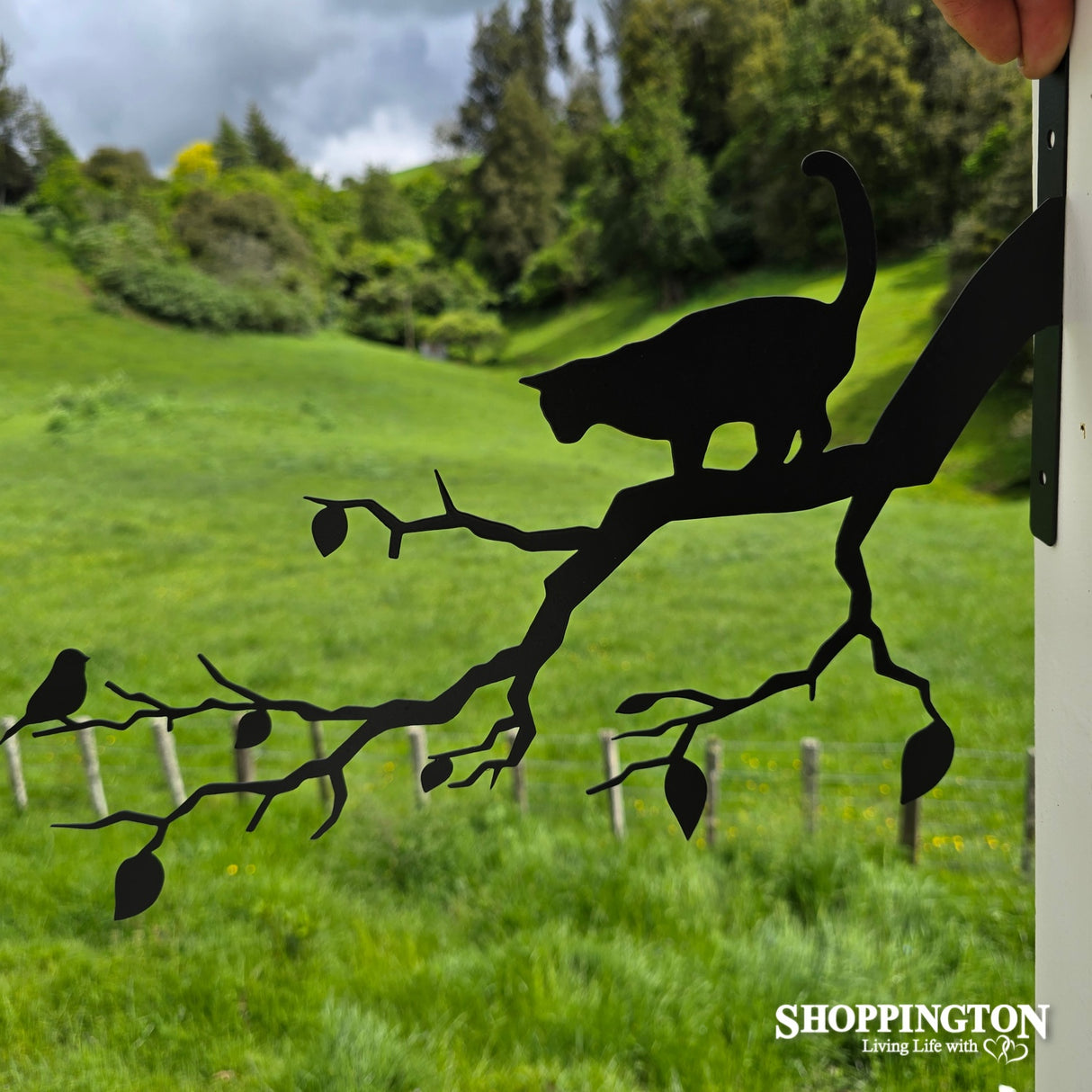 Wall Art - Bird & Cat On A Branch