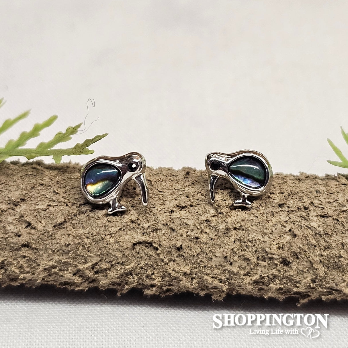 Earrings - Paua Kiwi