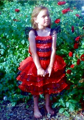 Fairy Dress-up / Ladybird Dress