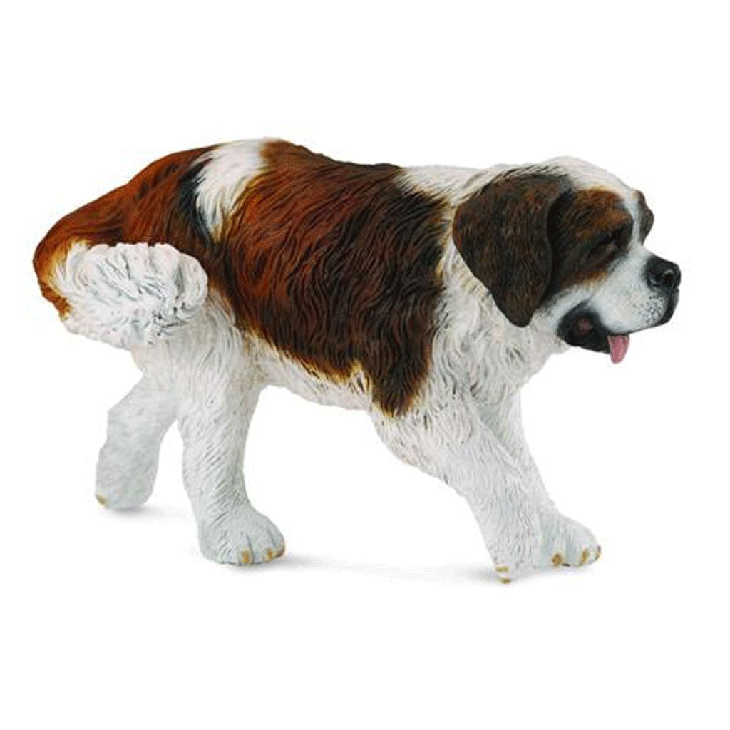 Collect A - St Bernard