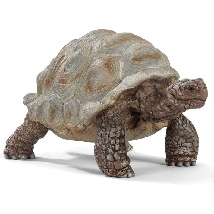Schleich - Giant Tortoise