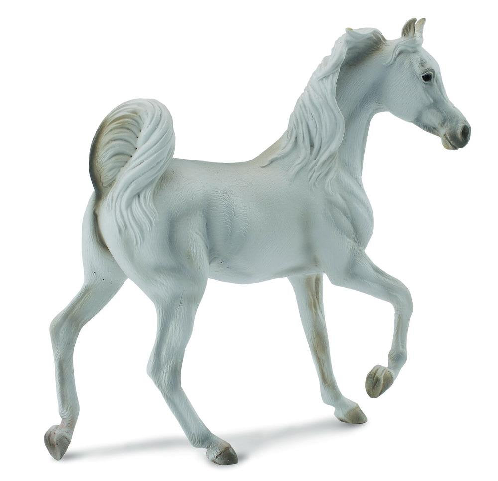 Collect A - Arabian Mare Grey
