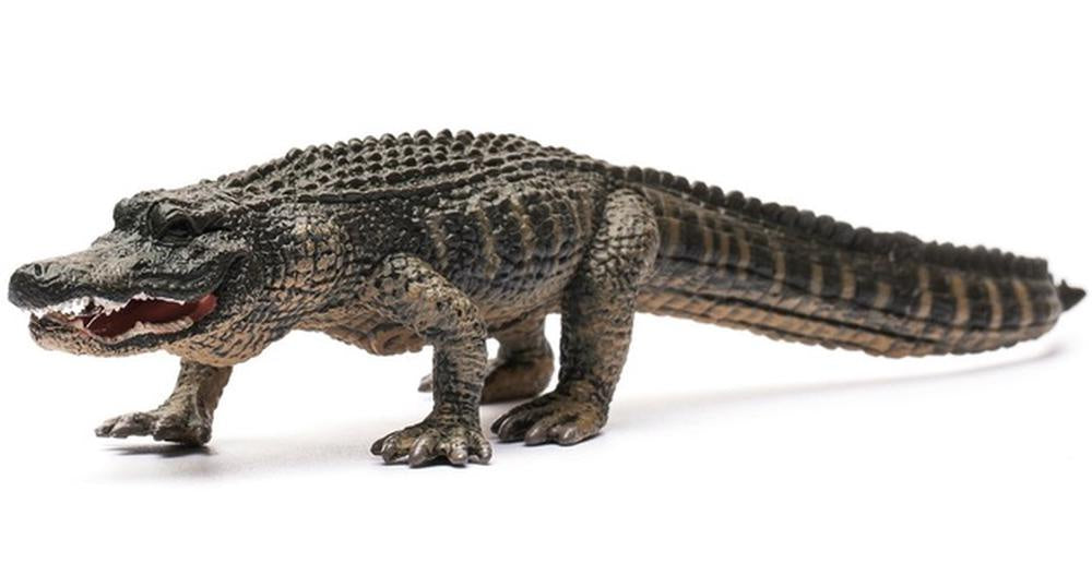 Collect A - American Alligator