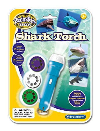 Torch and Projector / Shark