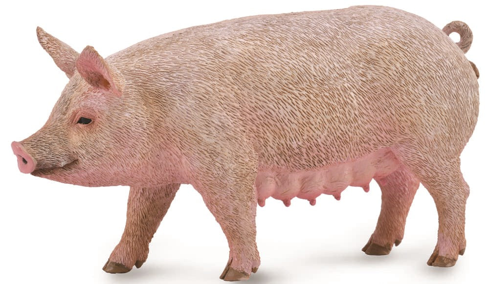 CollectA - Sow