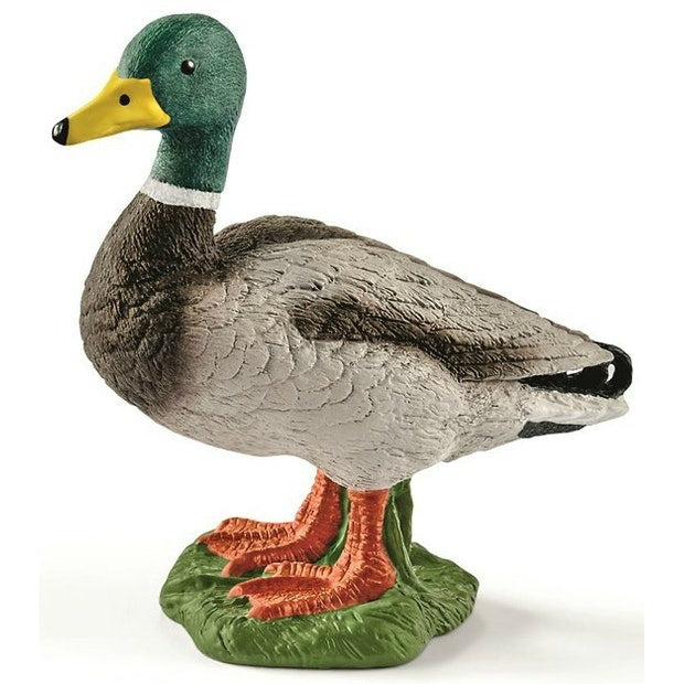 Schleich Collectables - Drake