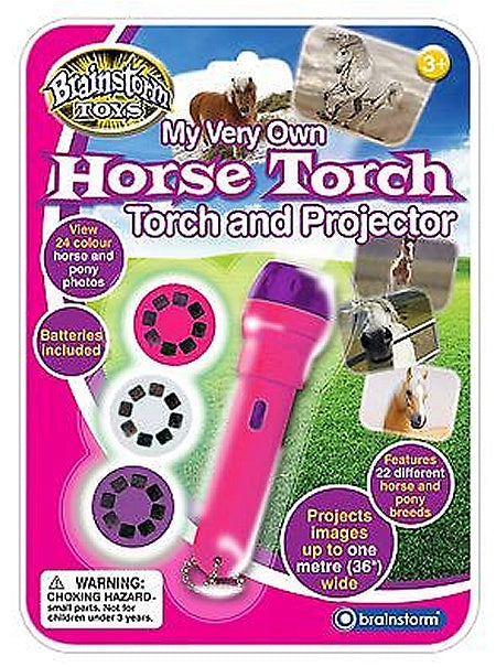 Torch and Projector / Horse
