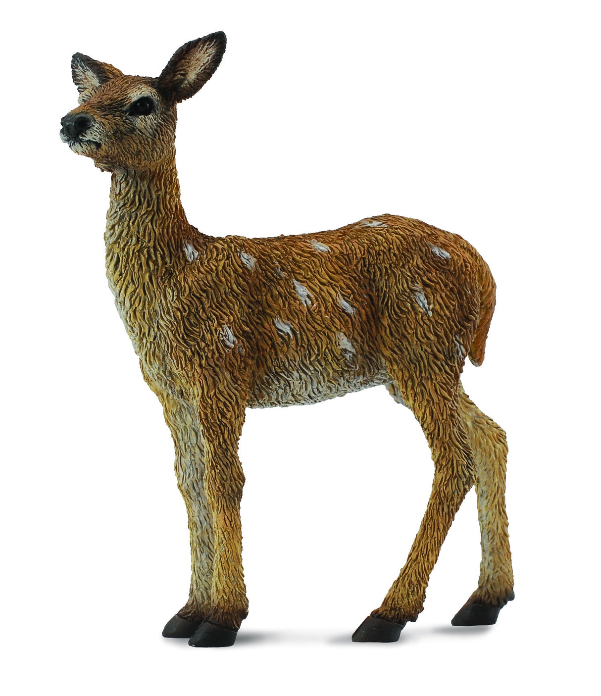 Collect A - Red Deer Calf
