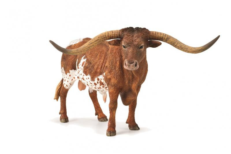 Collect A - Texas Longhorn Bull