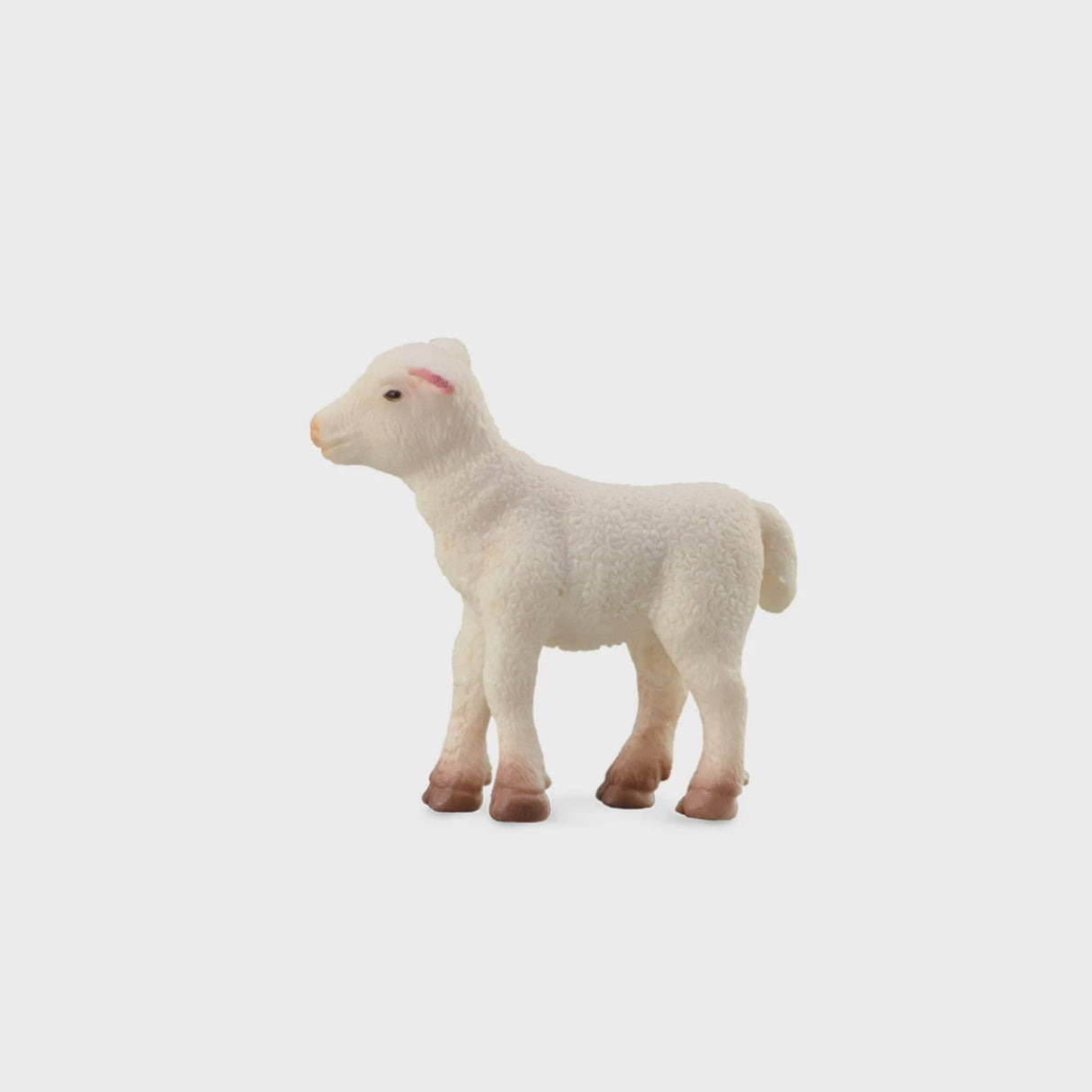 Collect A - Lamb Standing